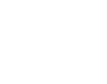 Phoenix Development Group